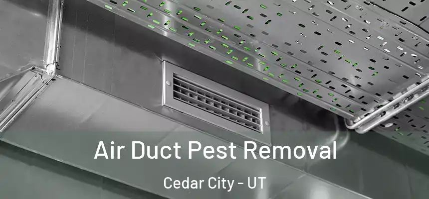  Air Duct Pest Removal Cedar City - UT