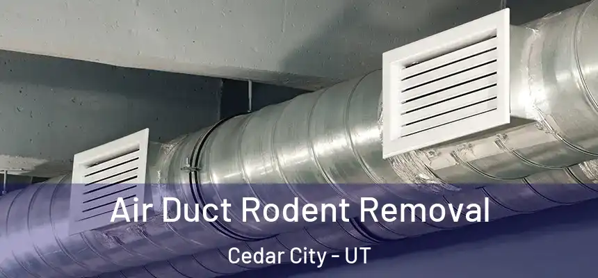 Air Duct Rodent Removal Cedar City - UT