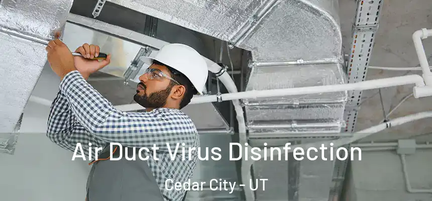  Air Duct Virus Disinfection Cedar City - UT