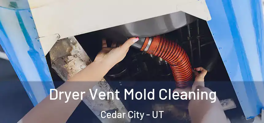 Dryer Vent Mold Cleaning Cedar City - UT