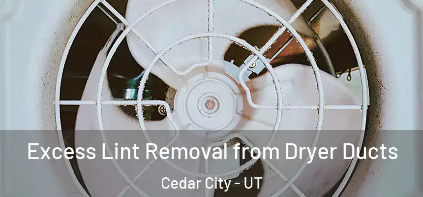 Excess Lint Removal from Dryer Ducts Cedar City - UT