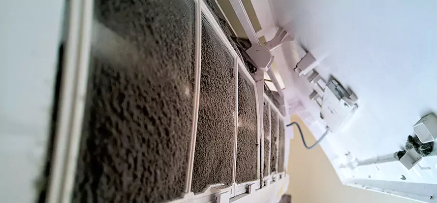 Preventive Air Duct Bacteria Removal in Cedar City