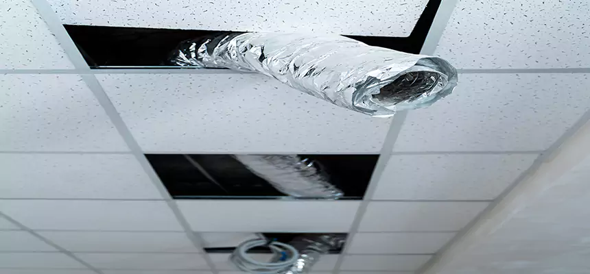 Affordable HVAC Sanitizing After Pest Removal in Cedar City