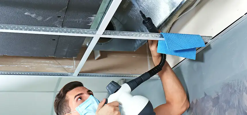 Our Air Duct Rodent Removal Services in Cedar City, UT