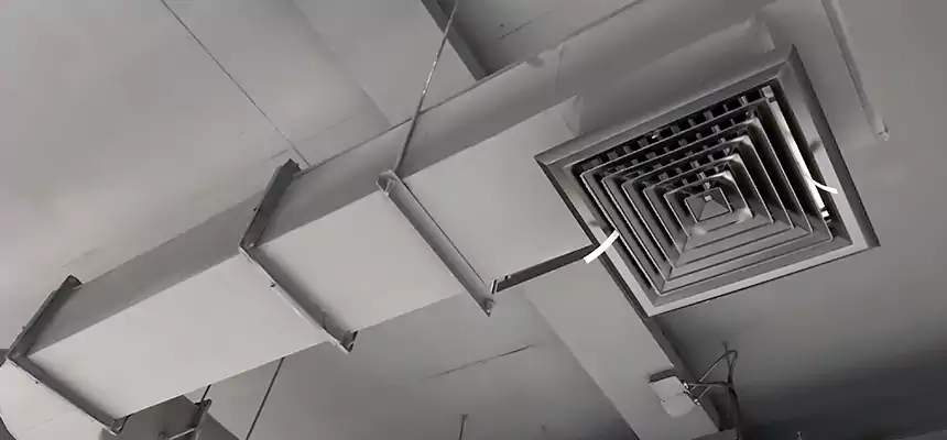 Our Pest Removal From Ducts Services in Cedar City, UT