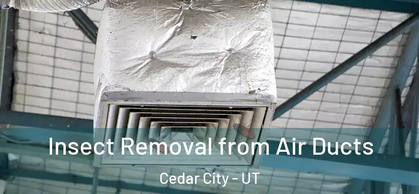  Insect Removal from Air Ducts Cedar City - UT
