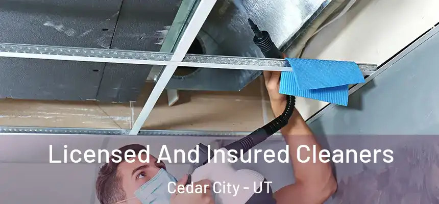  Licensed And Insured Cleaners Cedar City - UT