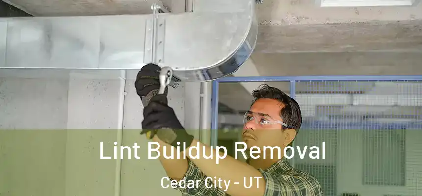  Lint Buildup Removal Cedar City - UT