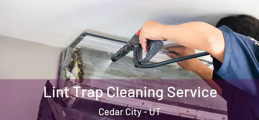  Lint Trap Cleaning Service Cedar City - UT