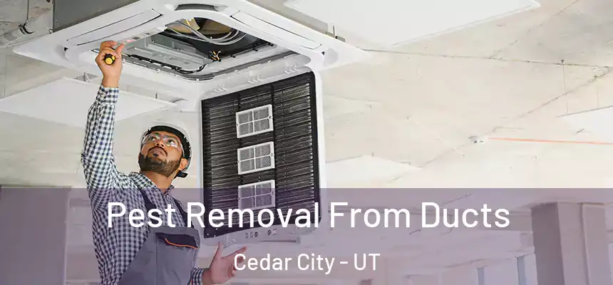  Pest Removal From Ducts Cedar City - UT