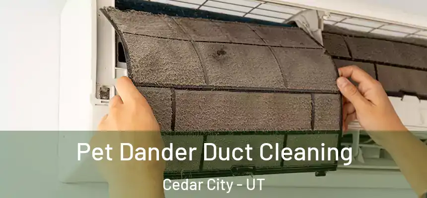  Pet Dander Duct Cleaning Cedar City - UT