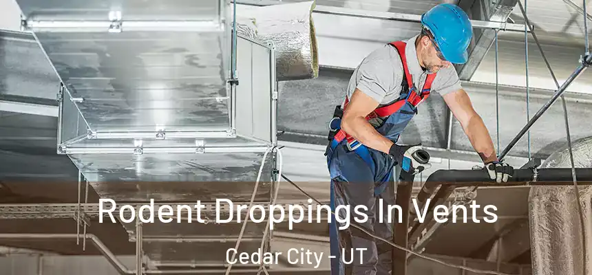 Rodent Droppings In Vents Cedar City - UT