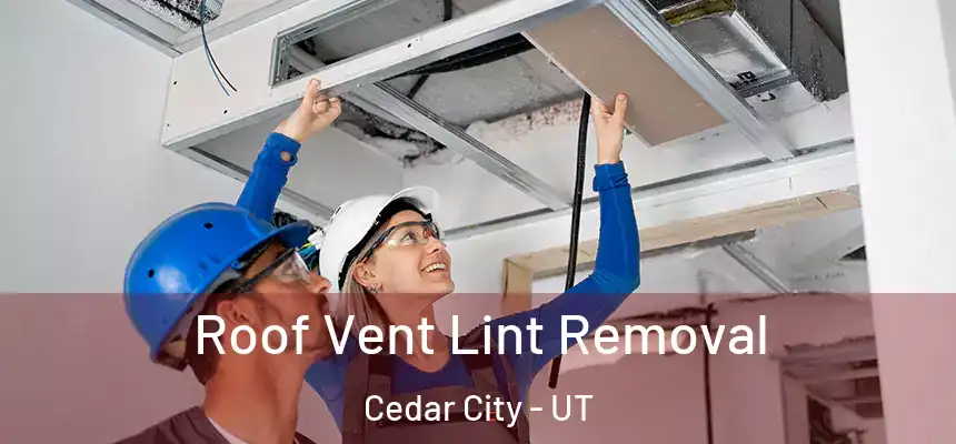 Roof Vent Lint Removal Cedar City - UT