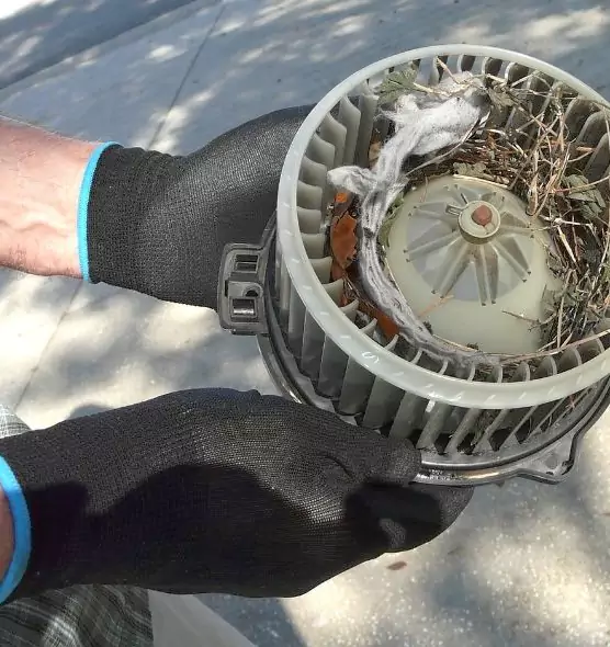 About Air Duct Mice Removal in Cedar City, UT