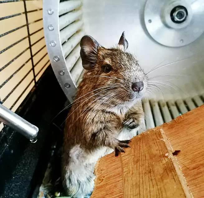 Why Homeowners & Businesses Trust Us Cedar City, UT?